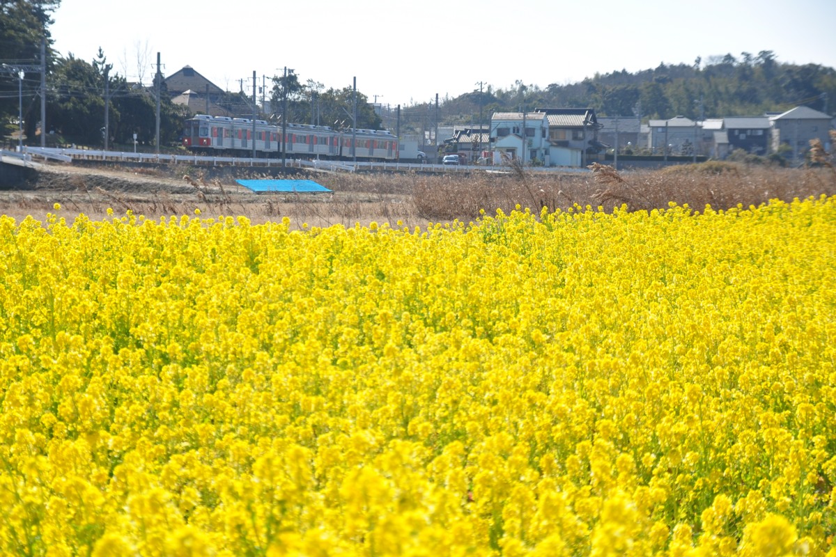 撮影・豊橋鉄道渥美線・杉山－やぐま台