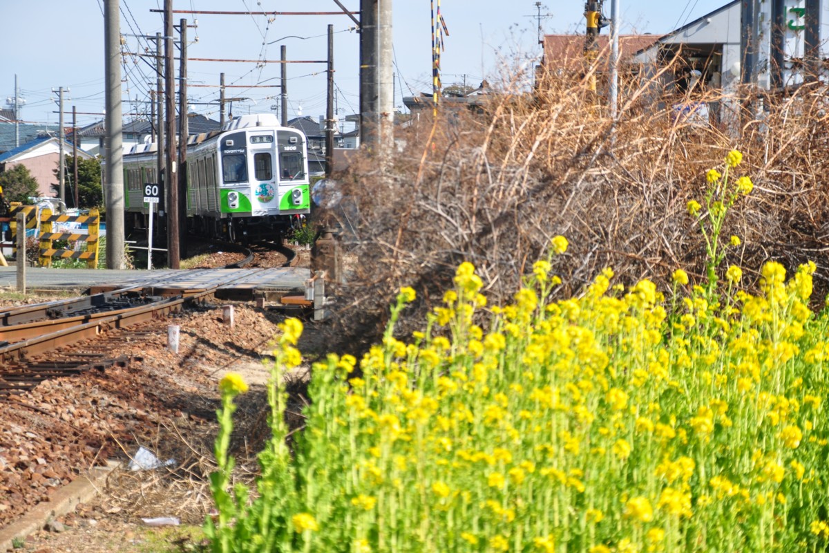 撮影・豊橋鉄道渥美線・大清水