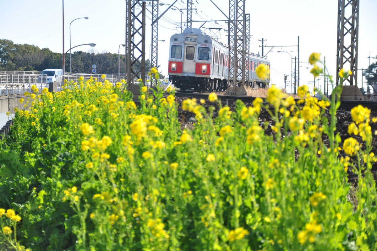 撮影・豊橋鉄道渥美線・柳生橋－小池