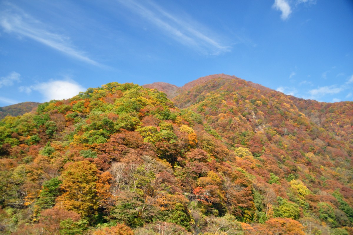 撮影・紅葉・会津鉄道・湯野上温泉－芦ノ牧温泉南