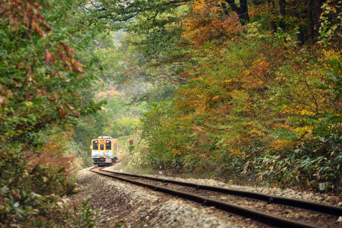 撮影・紅葉・会津鉄道・塔のへつり