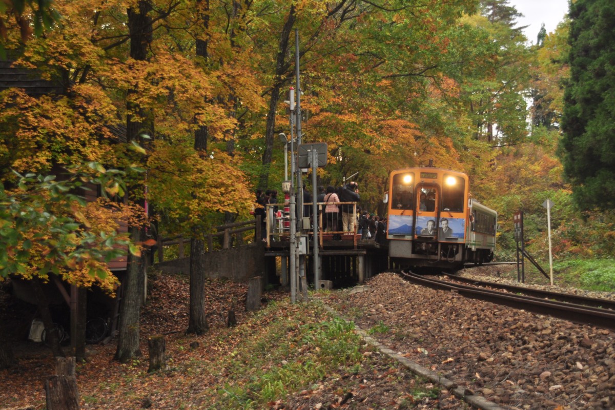 撮影・紅葉・会津鉄道・塔のへつり