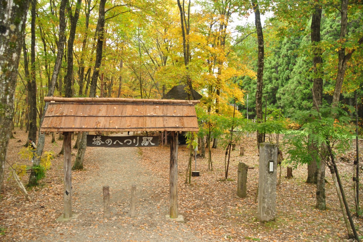 撮影・紅葉・会津鉄道・塔のへつり