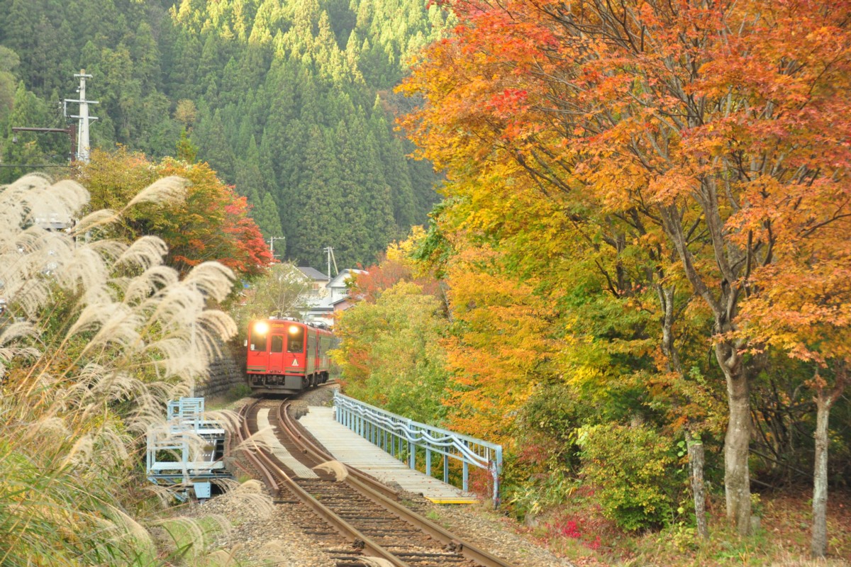 撮影・紅葉・会津鉄道・湯野上温泉