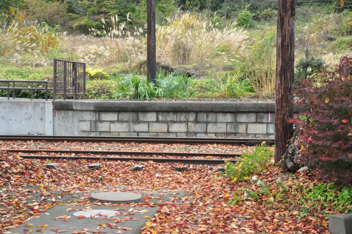 撮影・紅葉・会津鉄道・会津下郷
