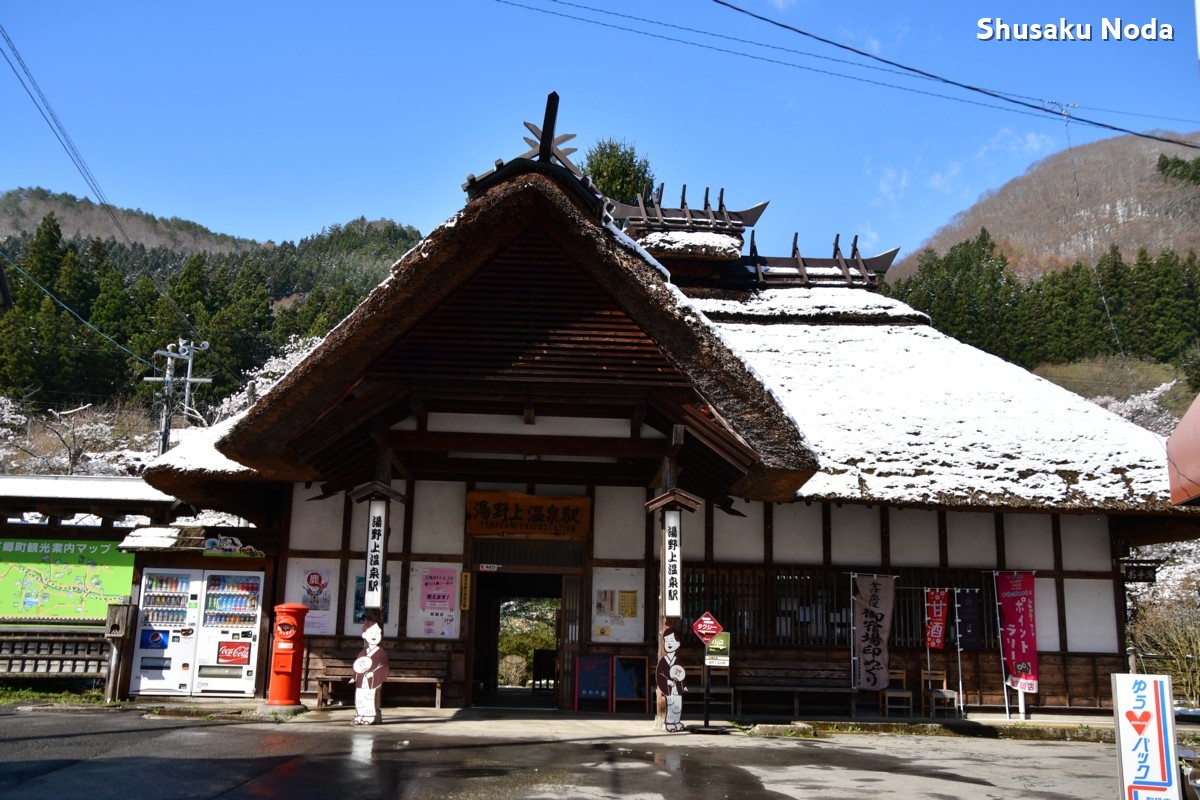鉄道写真・桜・さくら・撮影地：会津鉄道・湯野上温泉