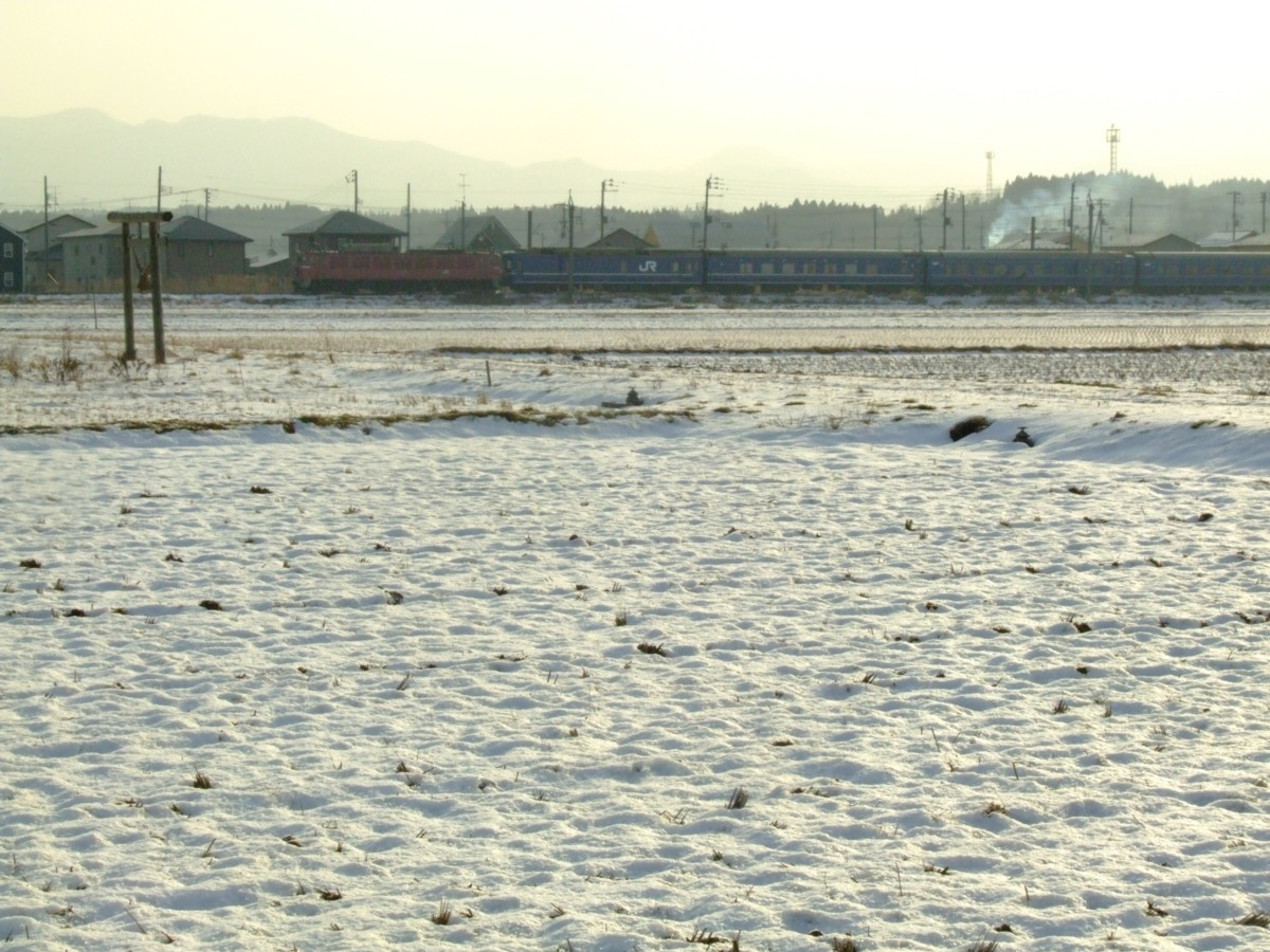 撮影・雪・奥羽本線・羽後飯塚－井川さくら