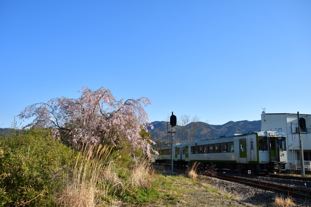 鉄道写真・撮影・桜・磐越東線・小川郷