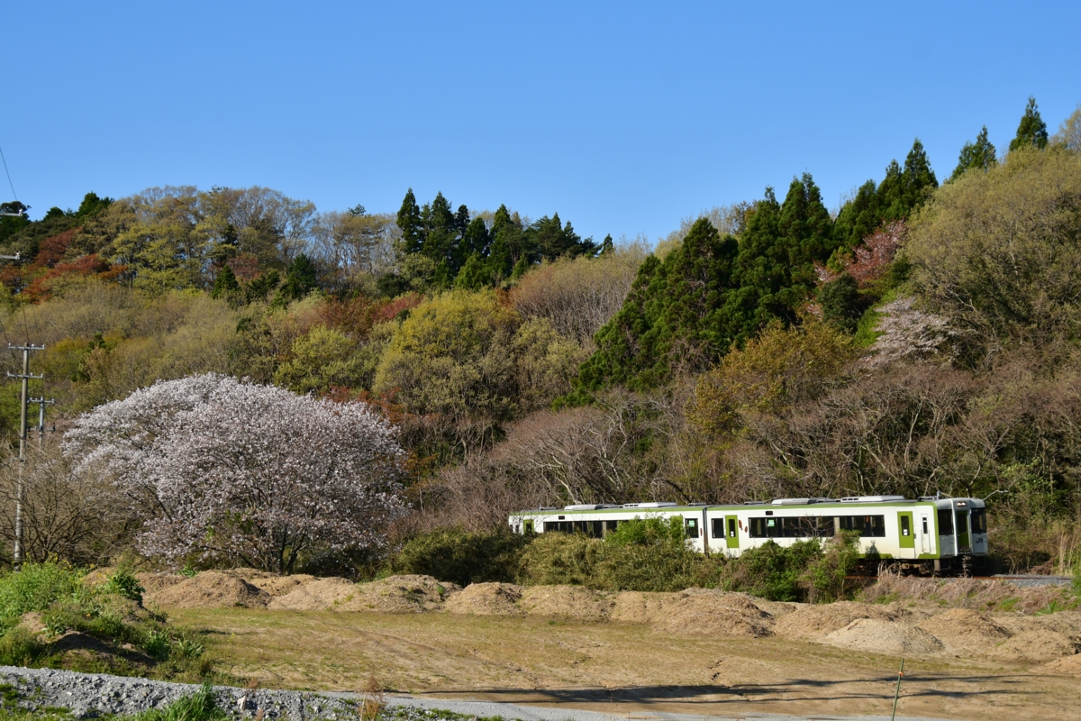 鉄道写真・撮影・桜・磐越東線・赤井－小川郷