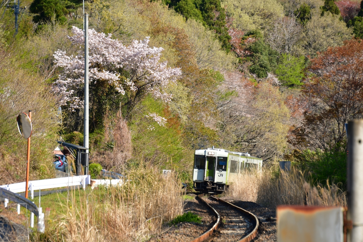 鉄道写真・撮影・桜・磐越東線・赤井－小川郷