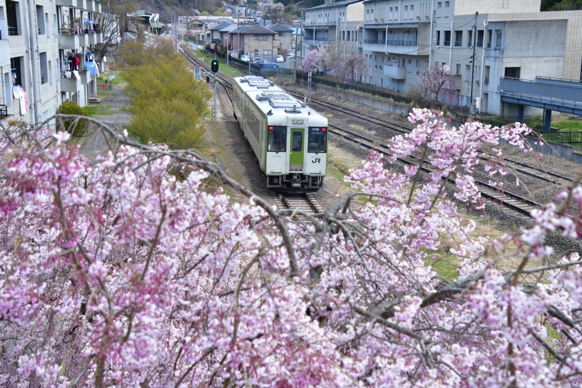 鉄道写真・撮影・桜・磐越東線・三春