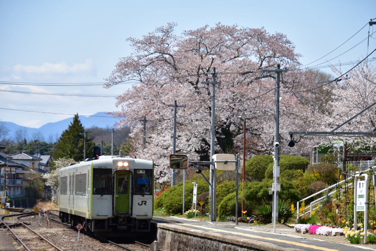 鉄道写真・撮影・桜・磐越東線・舞木