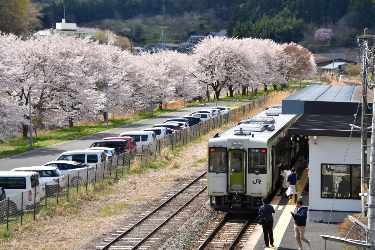鉄道写真・撮影・桜・磐越東線・三春
