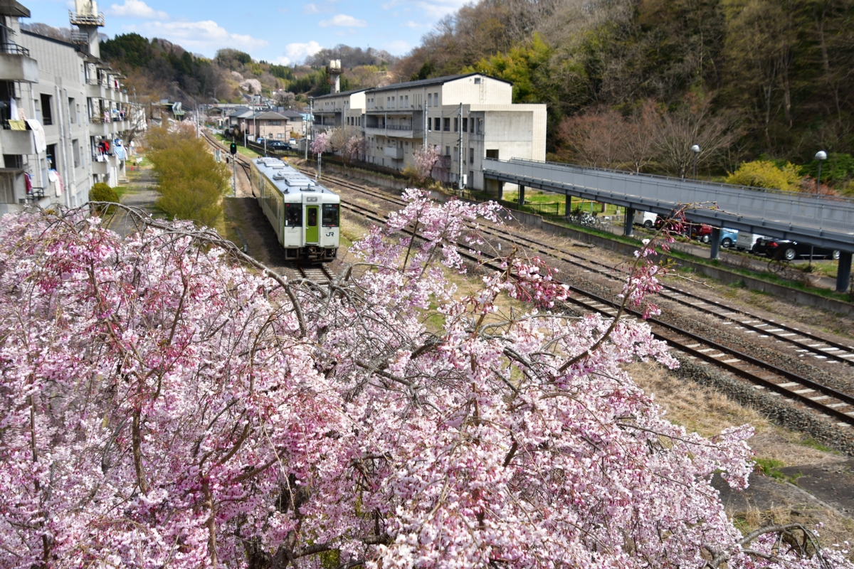 鉄道写真・撮影・桜・磐越東線・三春