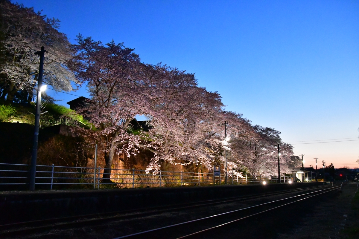 鉄道写真・撮影・桜・磐越東線・舞木・ライトアップ