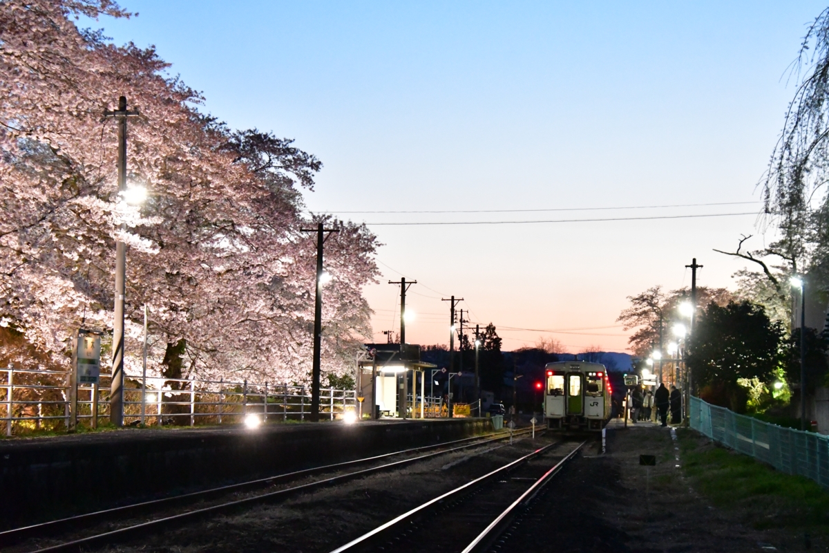 鉄道写真・撮影・桜・磐越東線・舞木・ライトアップ