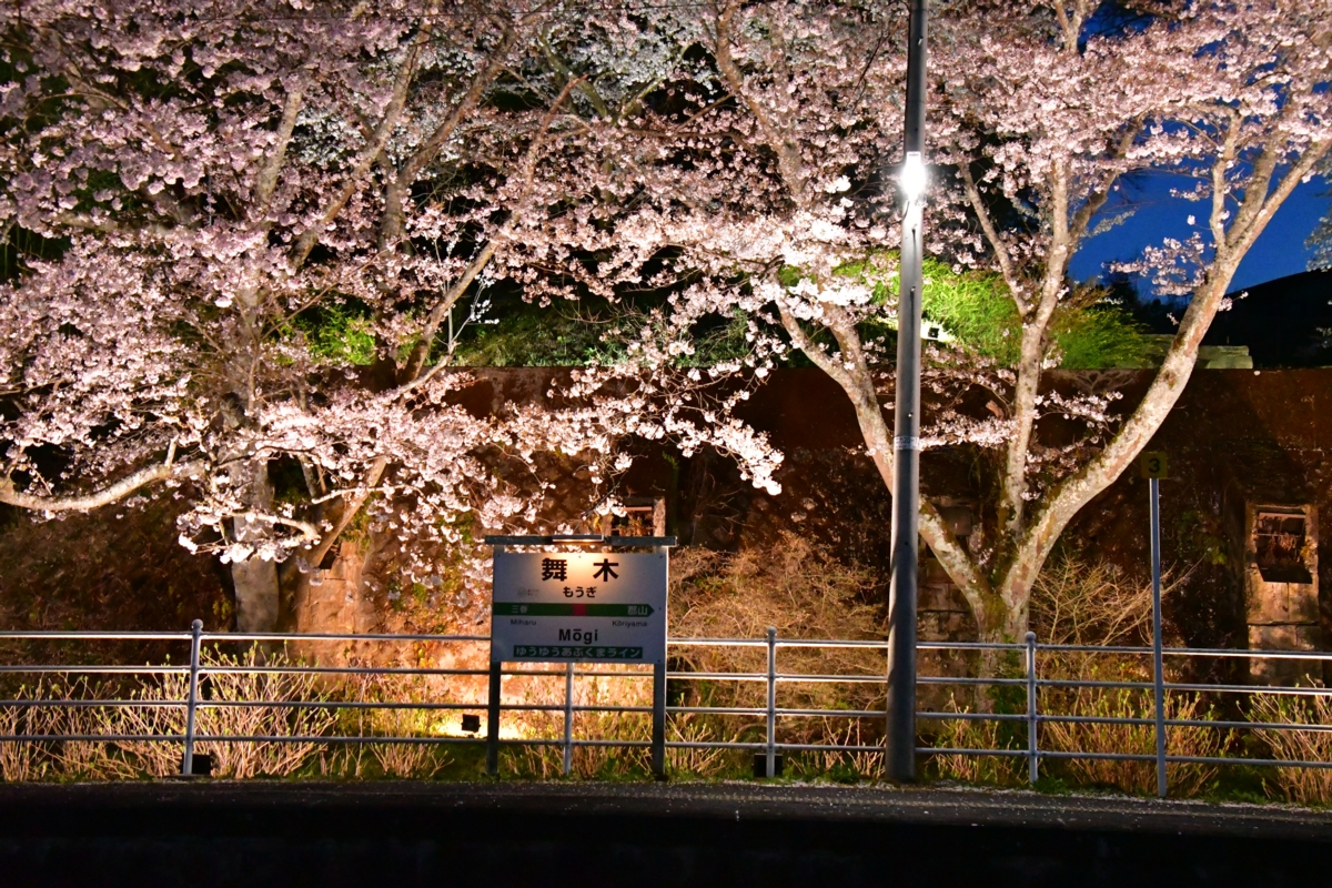 鉄道写真・撮影・桜・磐越東線・舞木・ライトアップ