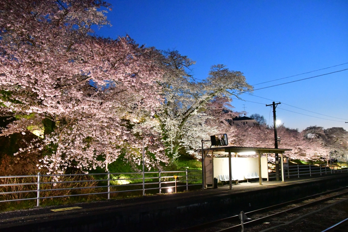 鉄道写真・撮影・桜・磐越東線・舞木・ライトアップ