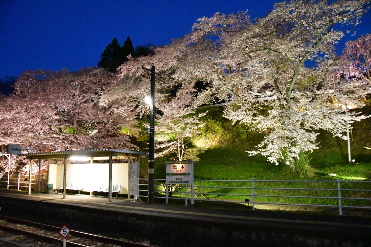 鉄道写真・撮影・桜・磐越東線・舞木・ライトアップ