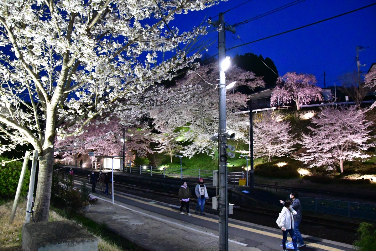 鉄道写真・撮影・桜・磐越東線・舞木・ライトアップ