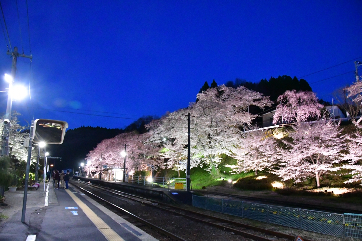 鉄道写真・撮影・桜・磐越東線・舞木・ライトアップ