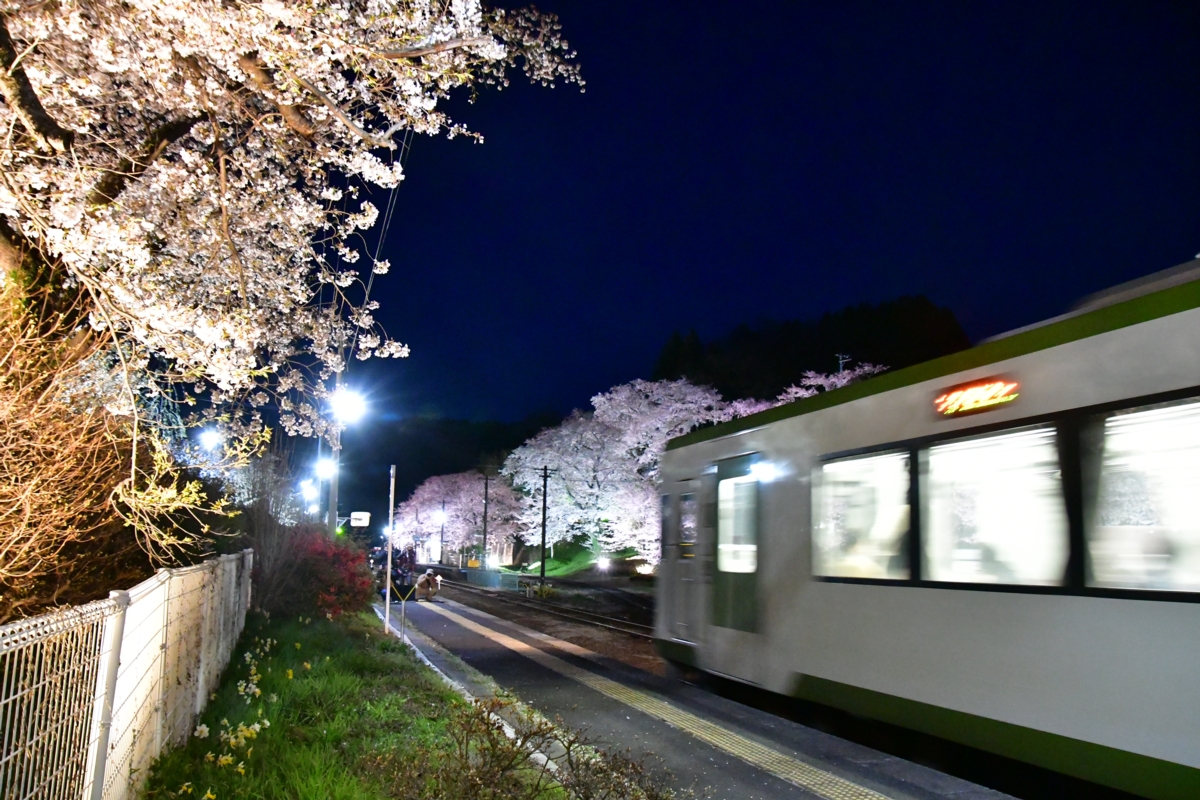 鉄道写真・撮影・桜・磐越東線・舞木・ライトアップ