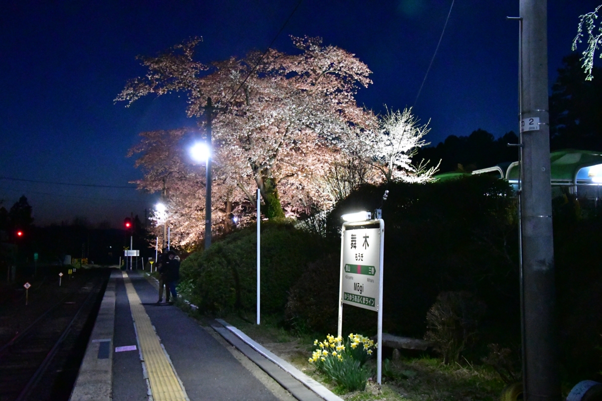 鉄道写真・撮影・桜・磐越東線・舞木・ライトアップ