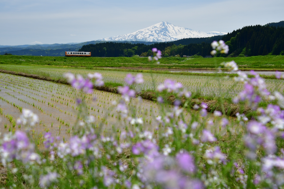 撮影・鳥海山・由利高原鉄道・曲沢