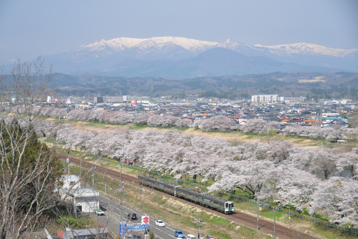 撮影・東北本線・桜・船岡