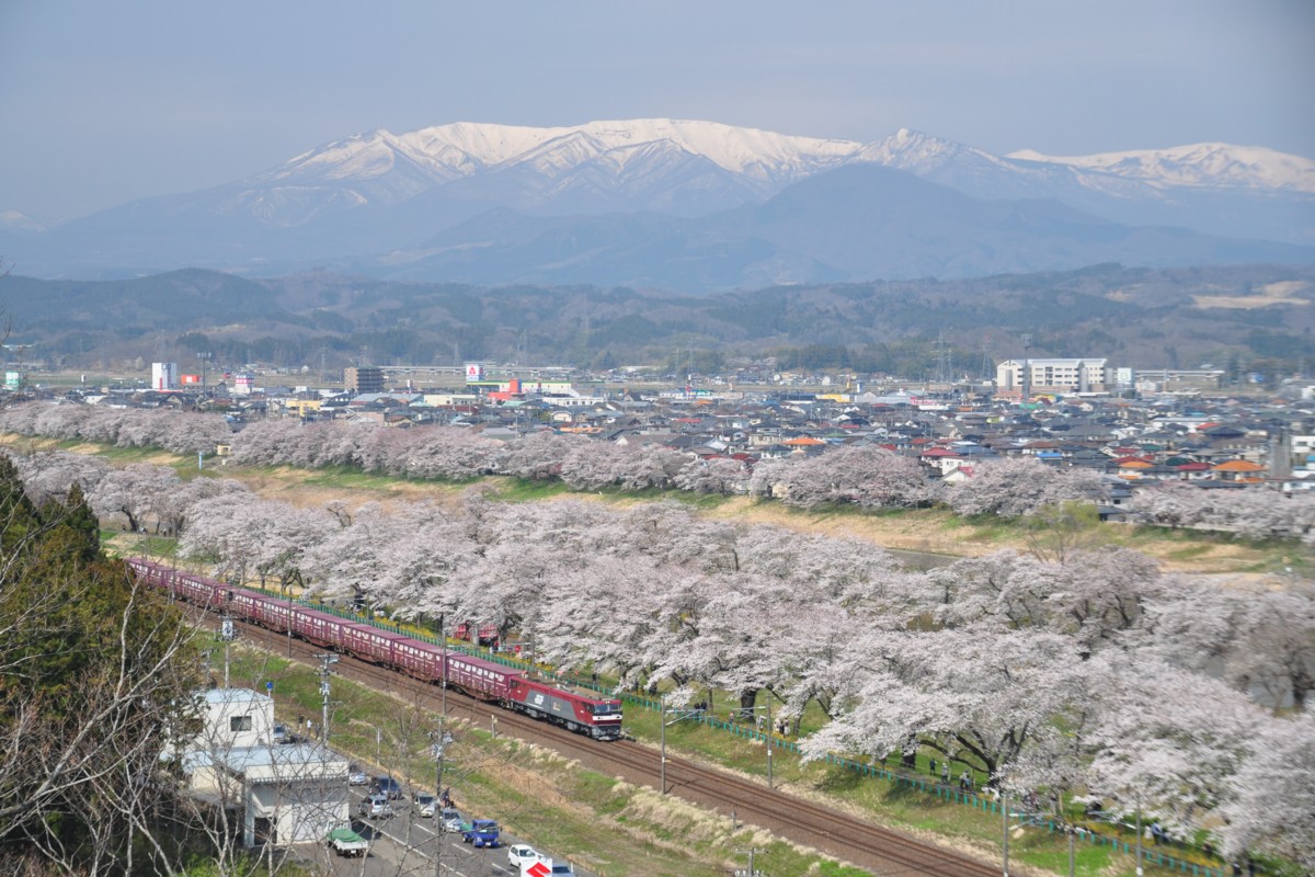 撮影・東北本線・桜・船岡