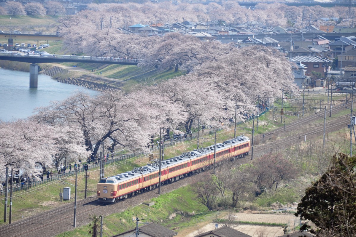 撮影・東北本線・桜・船岡