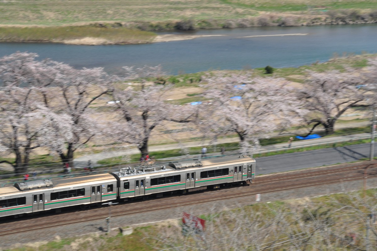撮影・東北本線・桜・船岡