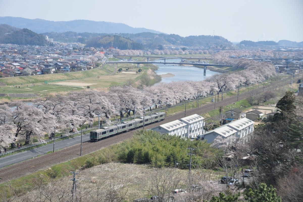 撮影・東北本線・桜・船岡