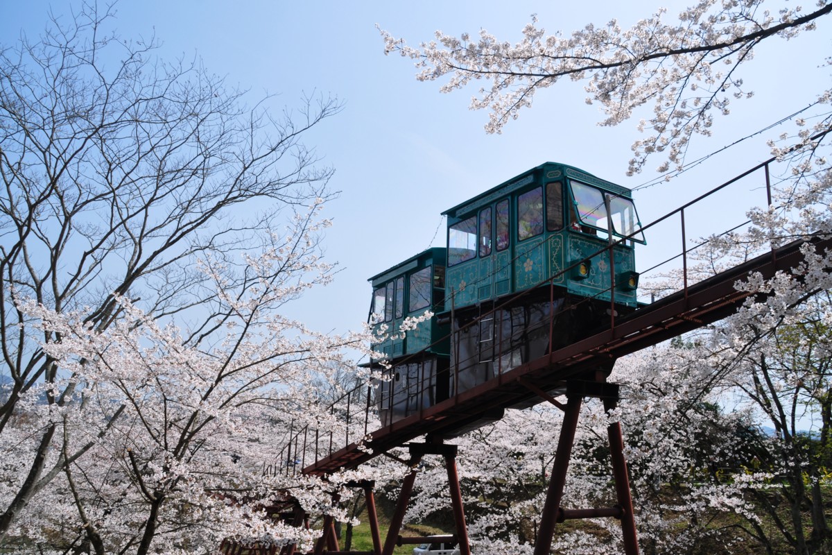 撮影・東北本線・桜・船岡