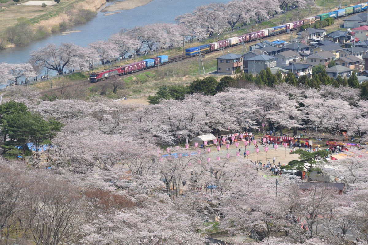 撮影・東北本線・桜・船岡