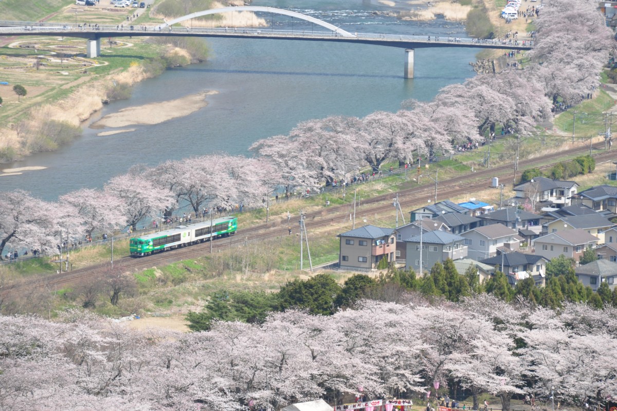 撮影・東北本線・桜・船岡