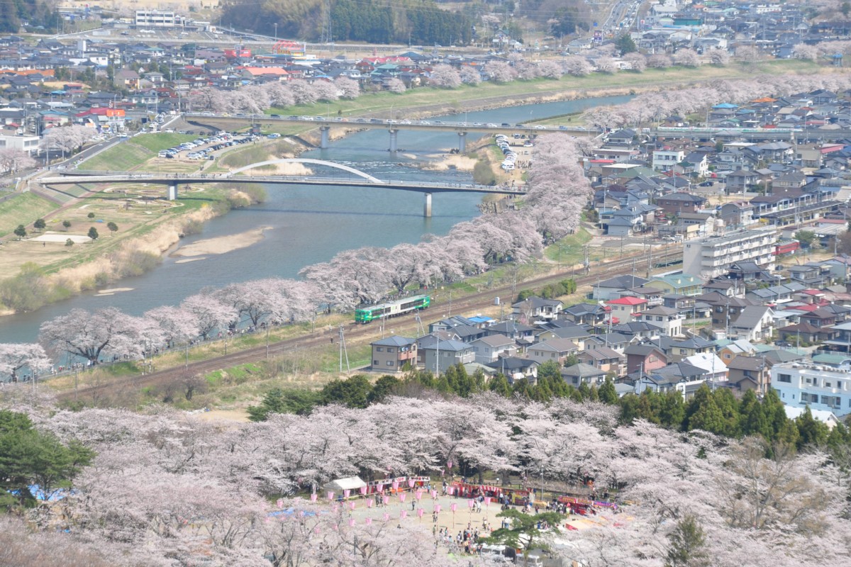 撮影・東北本線・桜・船岡