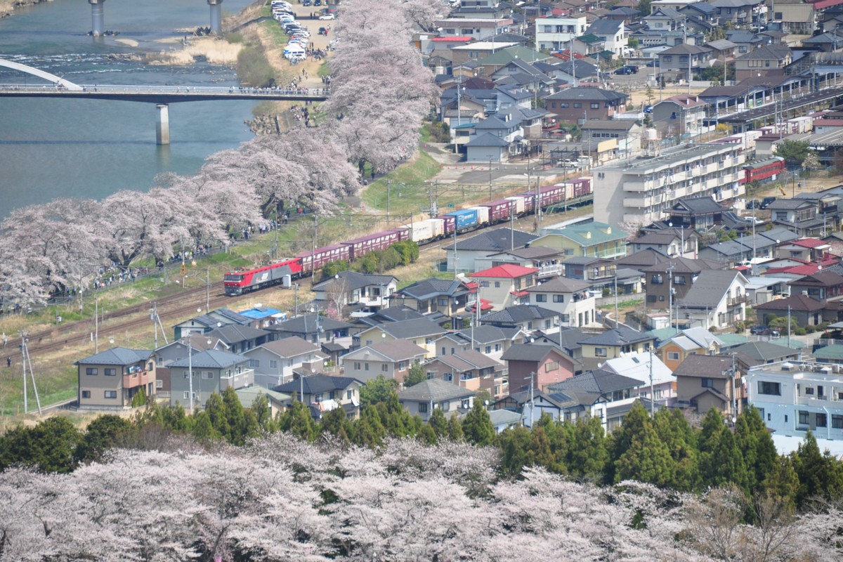 撮影・東北本線・桜・船岡