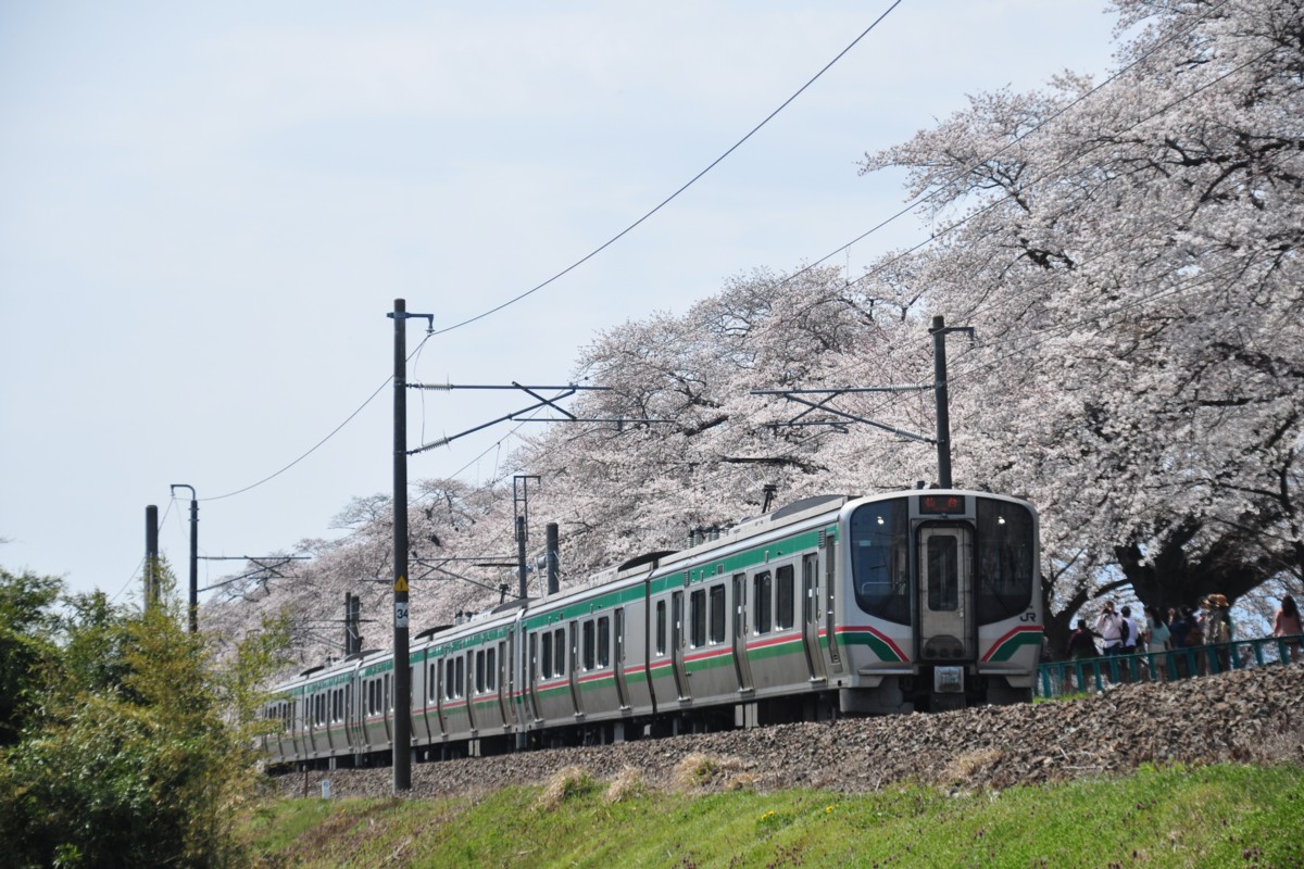 撮影・東北本線・桜・船岡