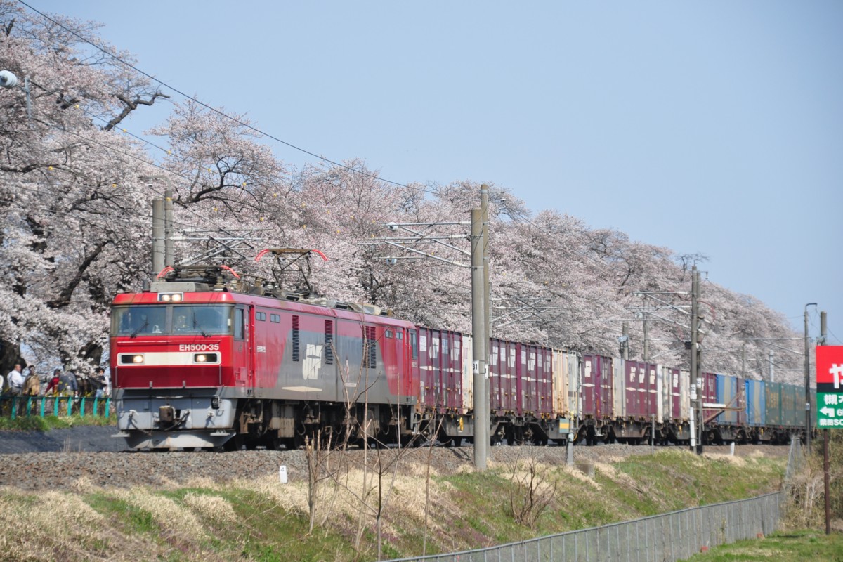 撮影・東北本線・桜・船岡