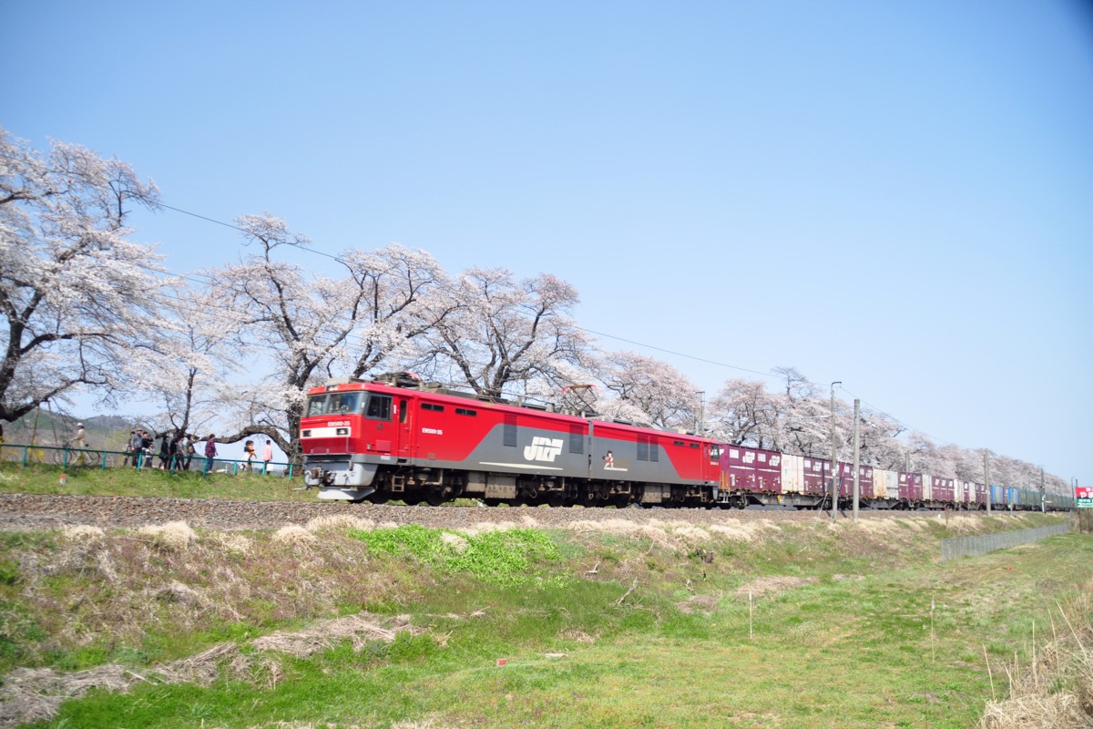 撮影・東北本線・桜・船岡