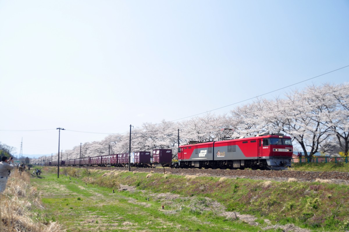 撮影・東北本線・桜・船岡