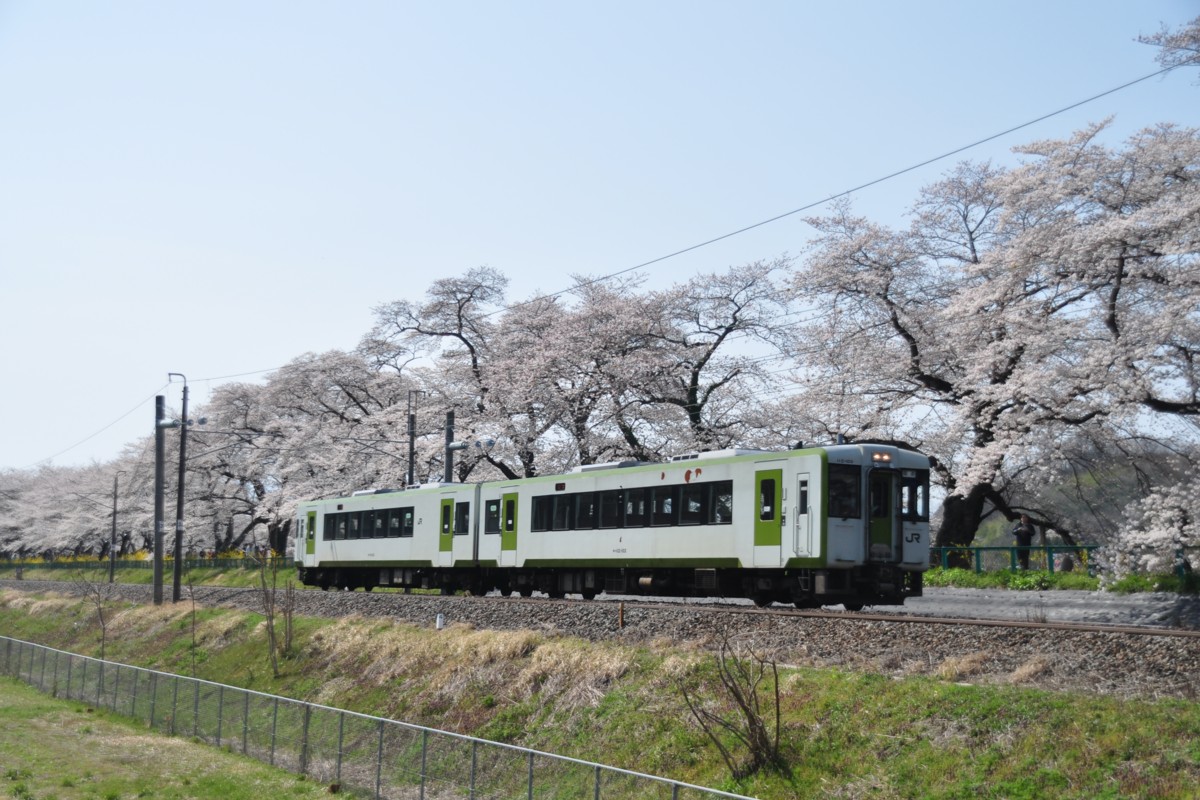 撮影・東北本線・桜・船岡