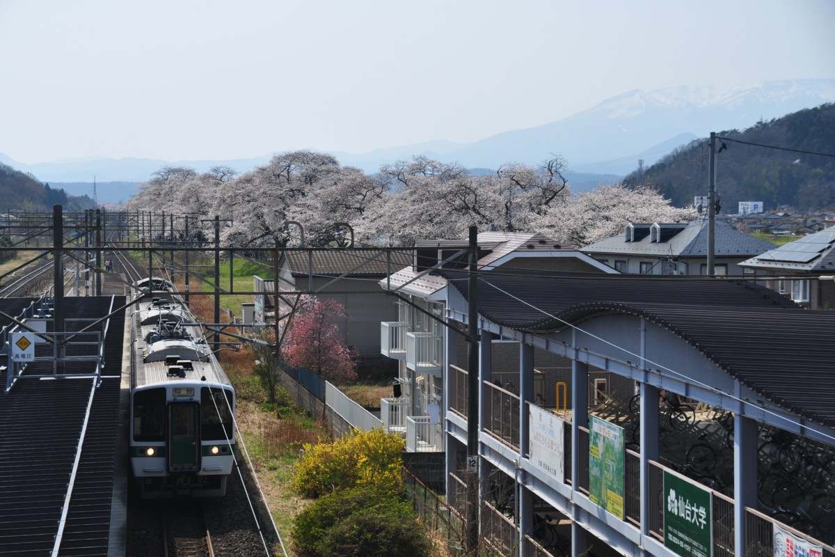 撮影・東北本線・桜・船岡
