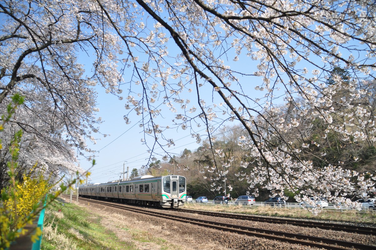撮影・東北本線・桜・船岡