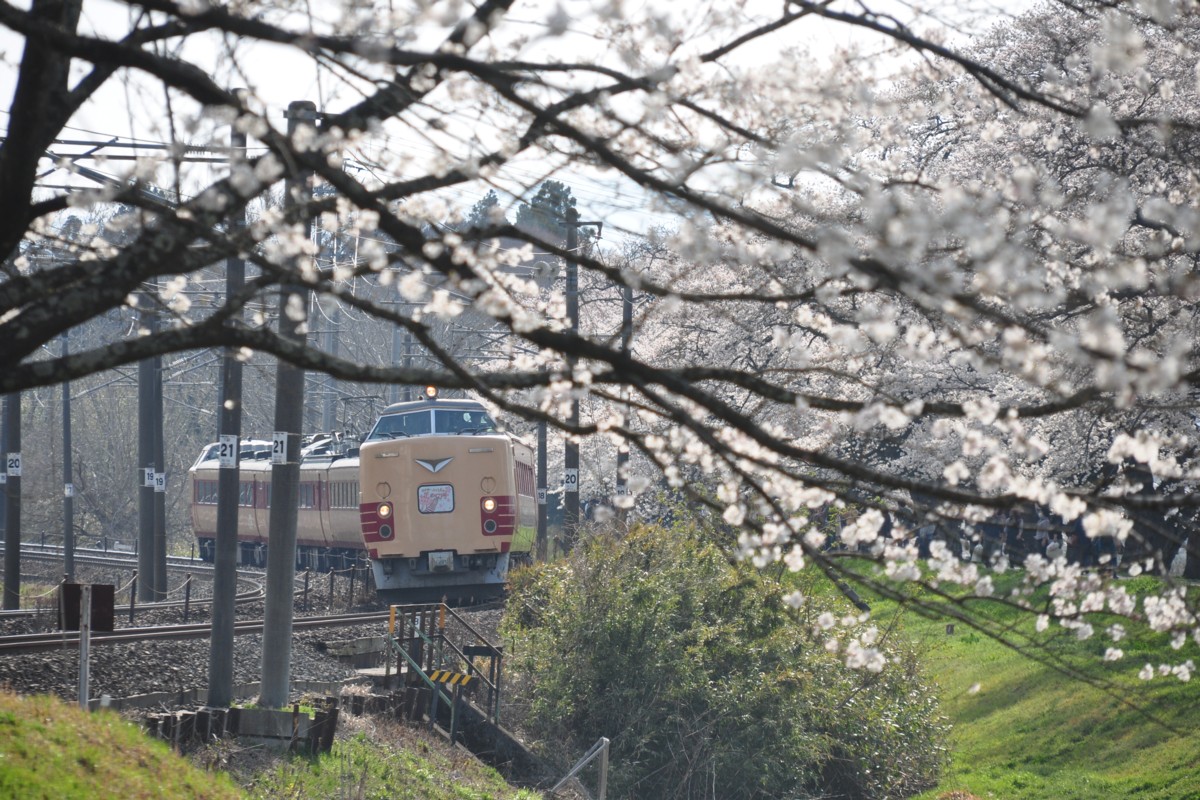 撮影・東北本線・桜・船岡