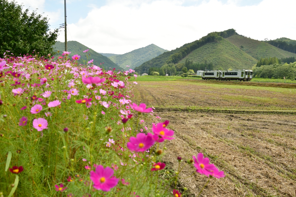 鉄道写真・秋・撮影地：釜石線・平倉－足ヶ瀬