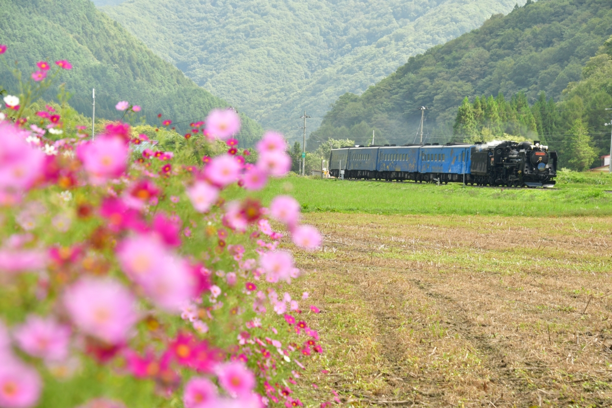 鉄道写真・秋・撮影地：釜石線・平倉－足ヶ瀬