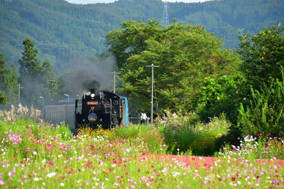 鉄道写真・秋・撮影地：釜石線・土沢－晴山