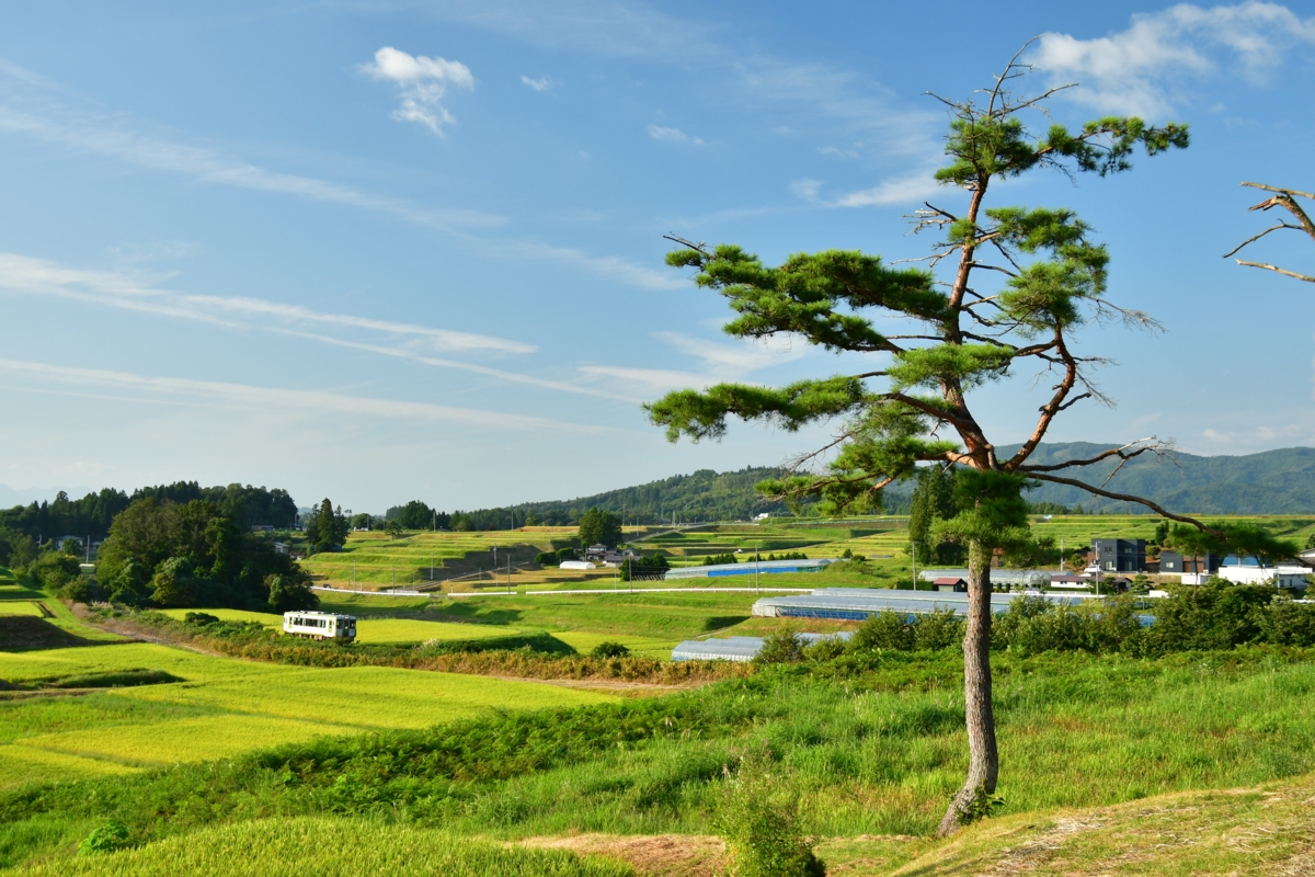 鉄道写真・秋・撮影地：釜石線・小山田－土沢